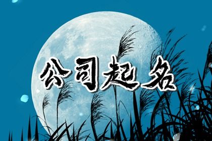 少见新颖的公司名字 简单大气好记的公司名