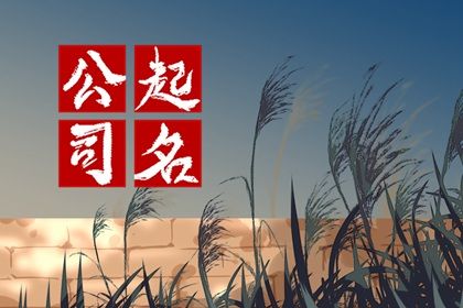 公司起名字大全免费四字 新颖的公司名字大全